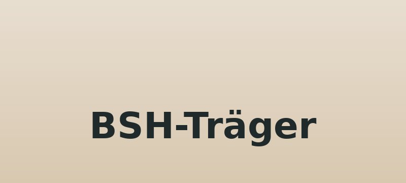 BSH-Träger 100x200